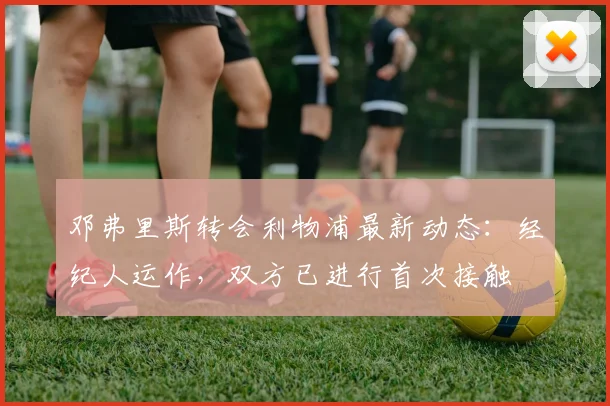 邓弗里斯转会利物浦最新动态:经纪人运作,双方已进行首次接触
