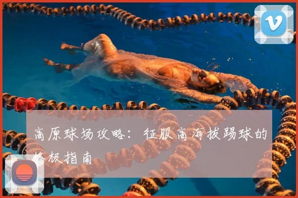 高原球场攻略:征服高海拔踢球的终极指南