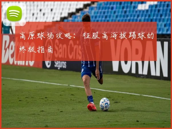 高原球场攻略：征服高海拔踢球的终极指南