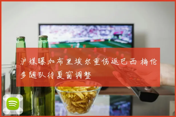 沪媒曝加布里埃尔重伤返巴西 梅伦多随队待夏窗调整